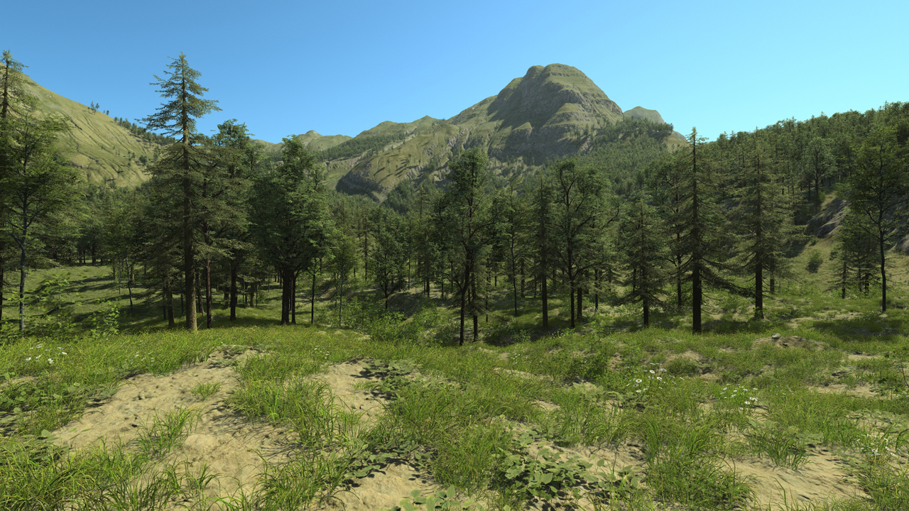 European forest_0