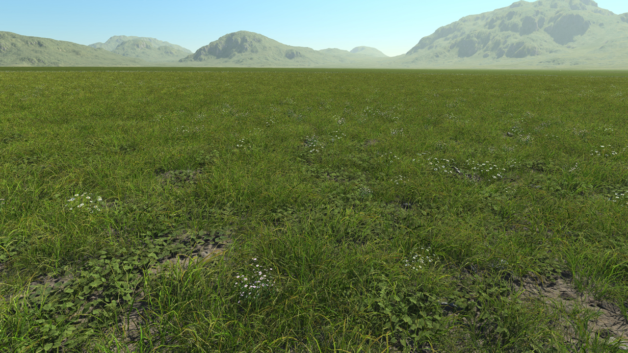 Grassland_0