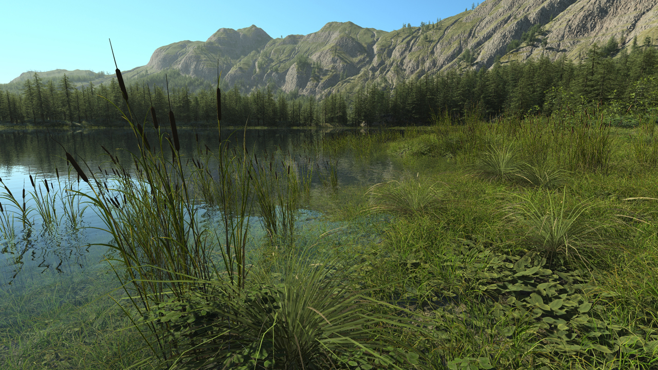 Wetland shoreline_0