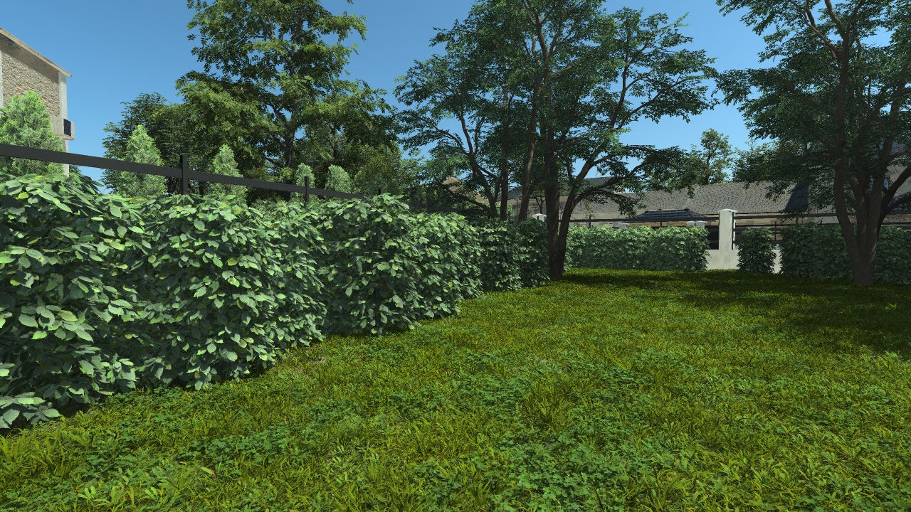 Hornbeam Hedge_0