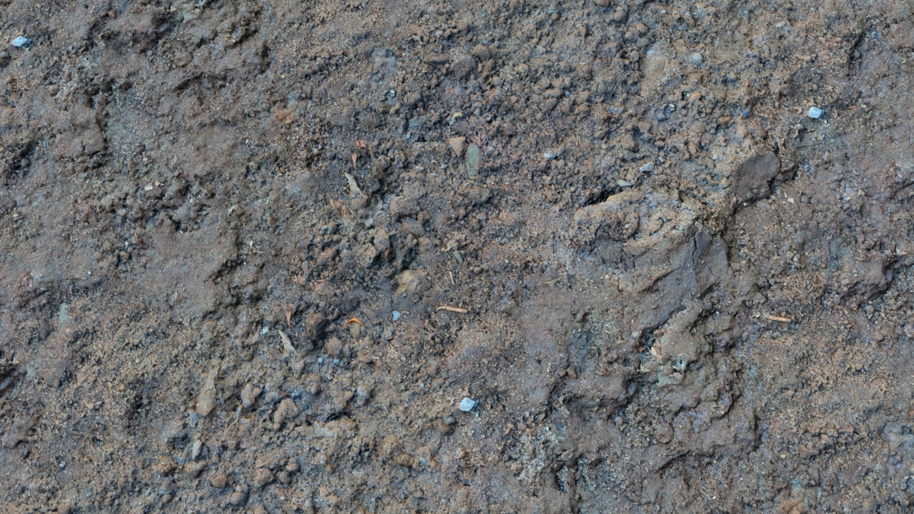 Fallow grounds_3