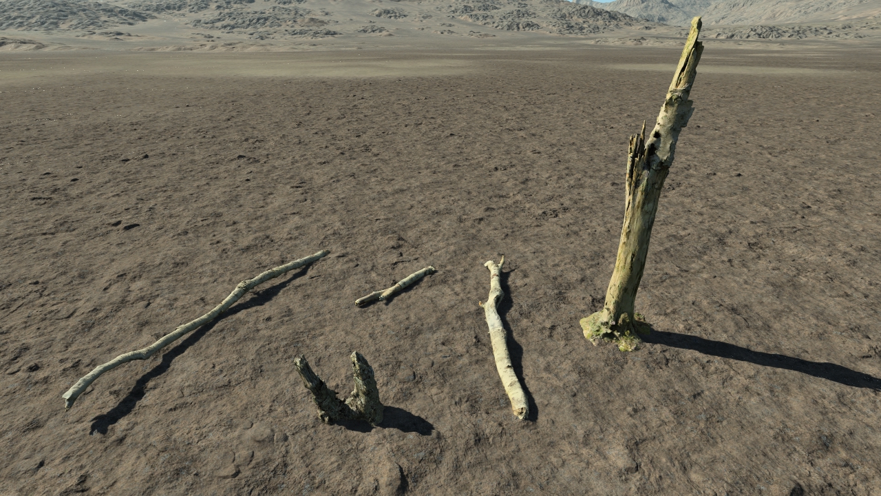 Dead birch parts_4