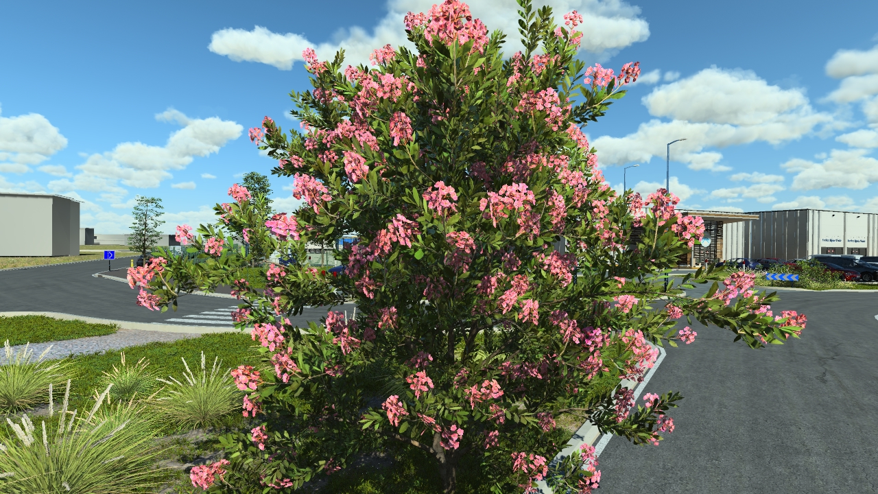 Flowery laurel bushes_3
