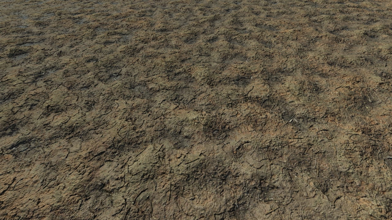 Wet grounds_0