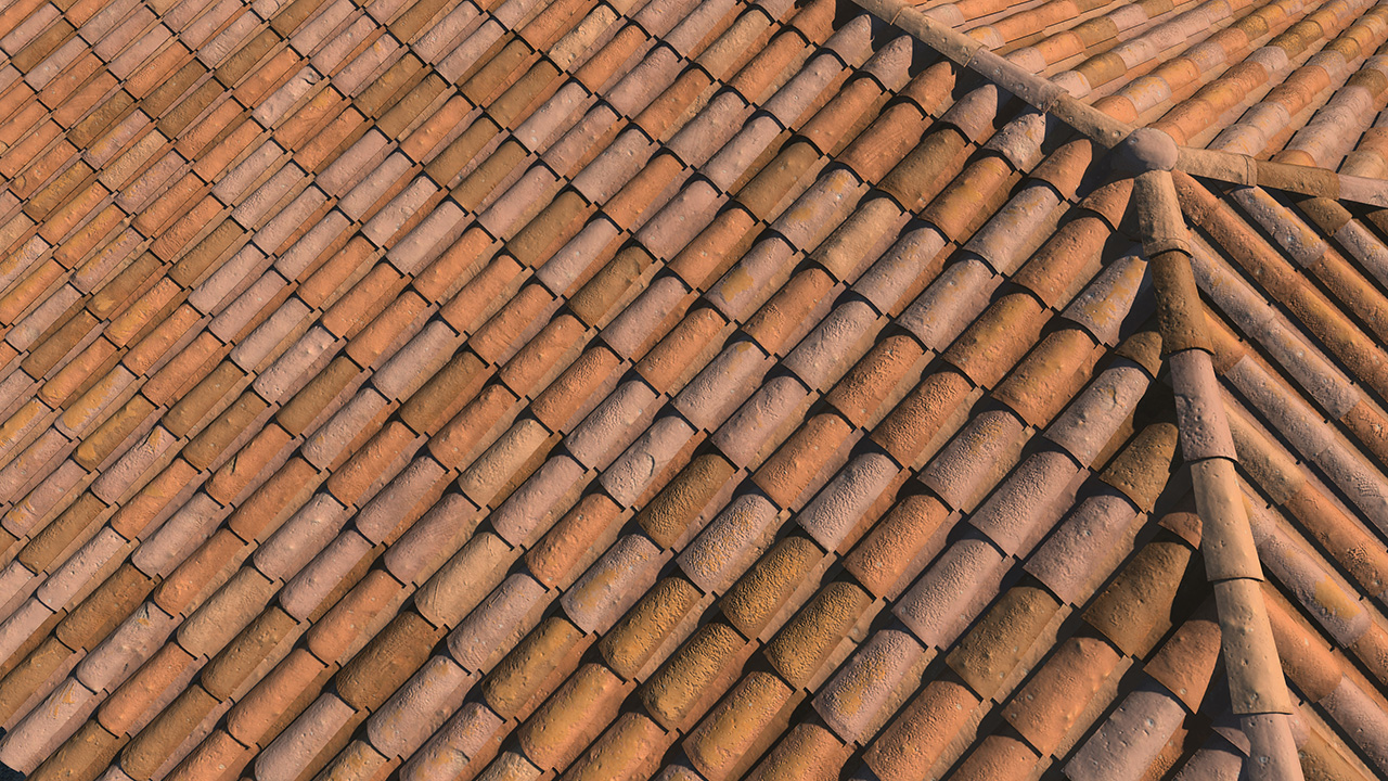 Old terracotta roof tiles_2