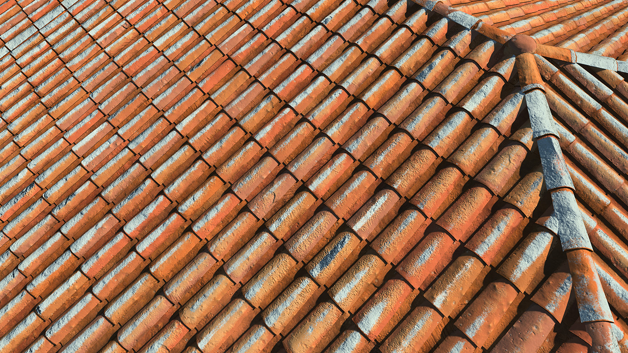 Old terracotta roof tiles_3