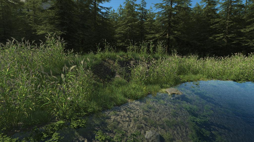 Wetland 2