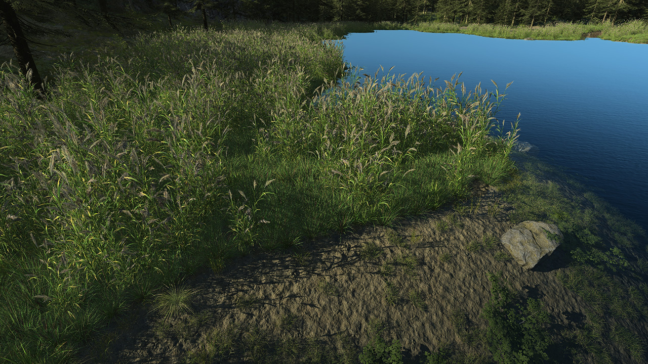 Wetland 2_0