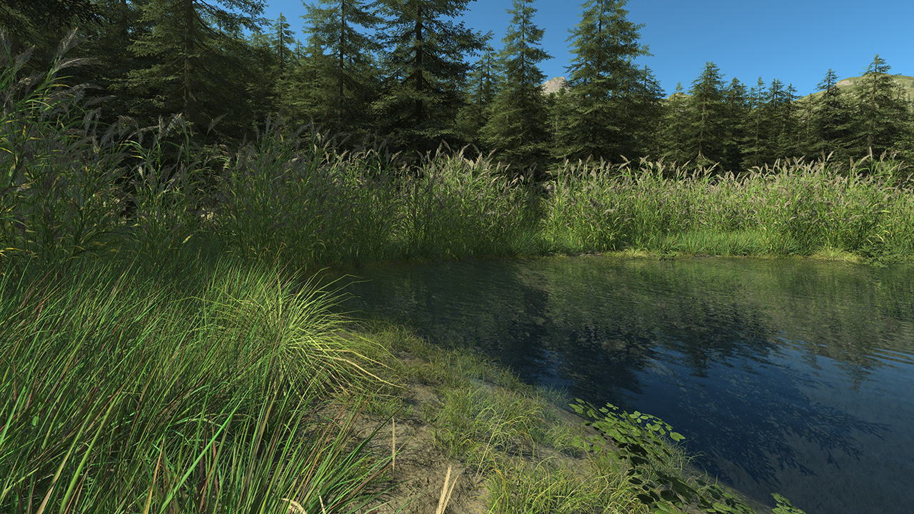 Wetland 2_1