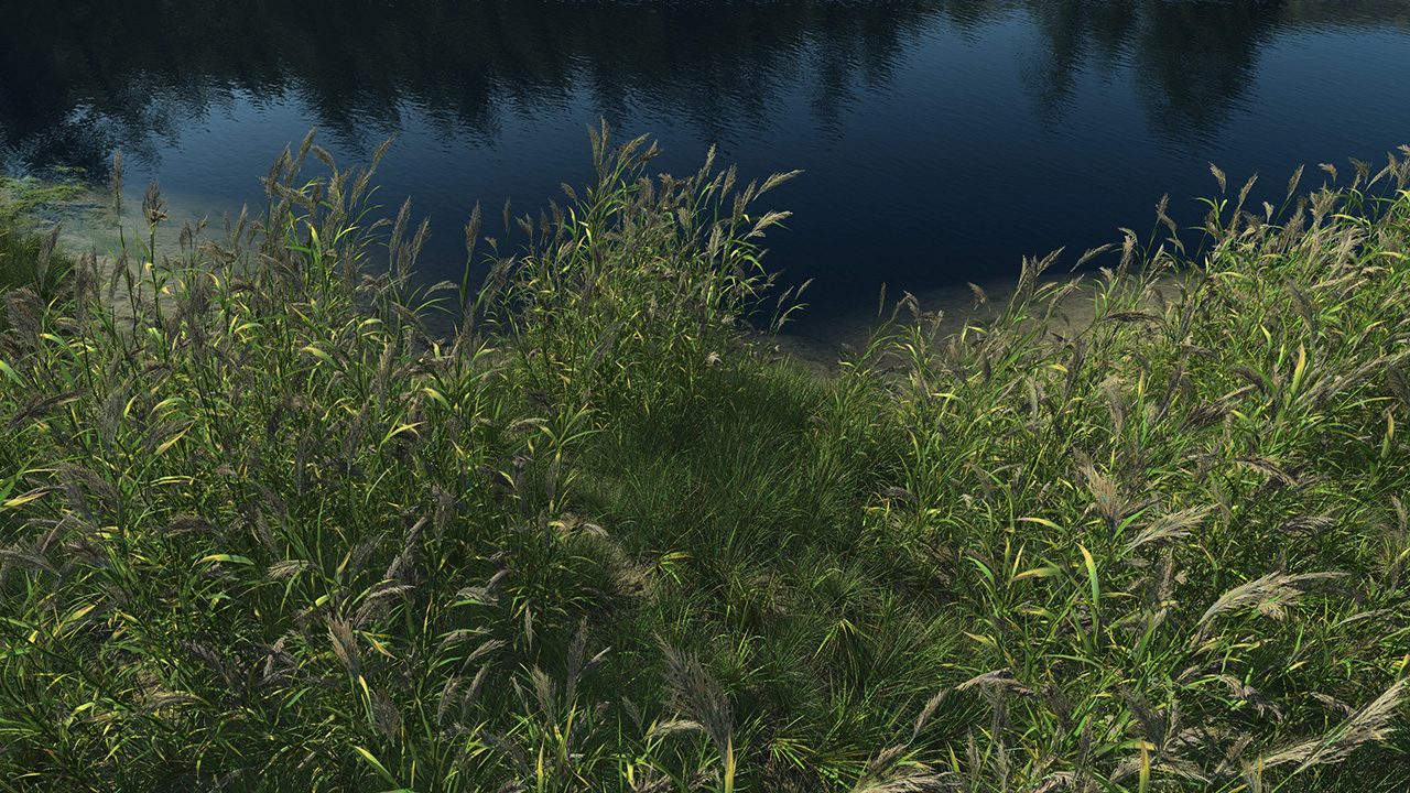 Wetland 2_2