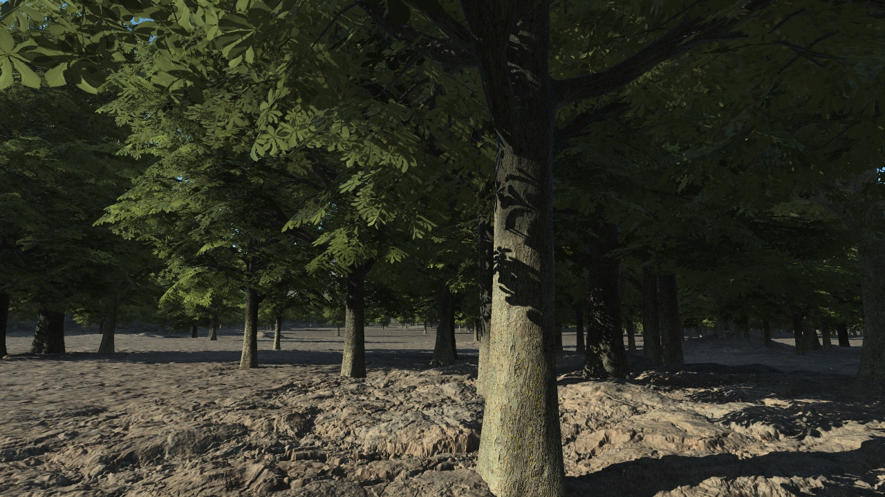 Summer chestnut trees_1