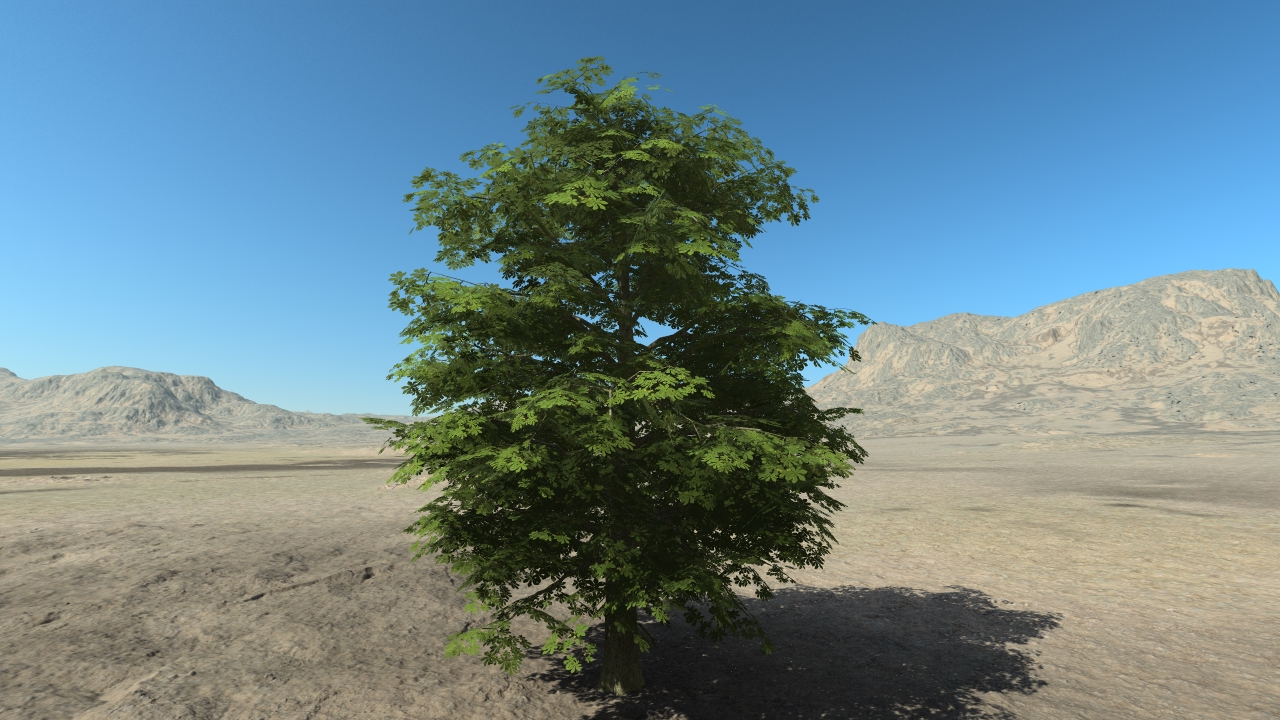 Summer chestnut trees_2