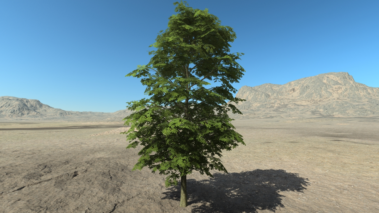 Summer chestnut trees_5